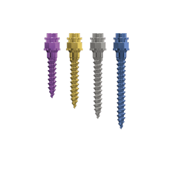 OrthoEasy PAL skeletal
