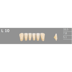 L10 Artic 6 zuby frontlne doln (VITA A1-D4)