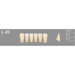 L20 Artic 6 zuby frontlne doln (VITA A1-D4)