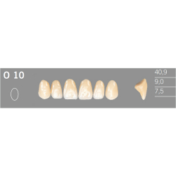 O10 Artic 6 zuby frontlne horn (VITA A1-D4)