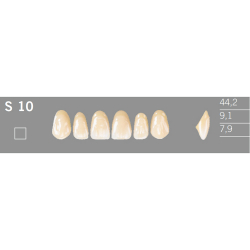 S10 Artic 6 zuby frontlne horn (VITA A1-D4)