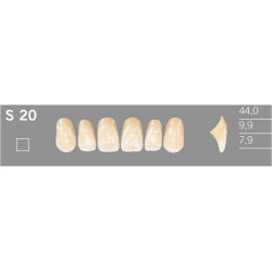 S20 Artic 6 zuby frontlne horn (VITA A1-D4)