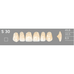 S30 Artic 6 zuby frontlne horn (VITA A1-D4)
