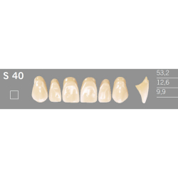 S40 Artic 6 zuby frontlne horn (VITA A1-D4)