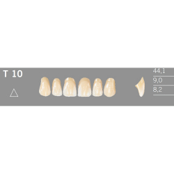 T10 Artic 6 zuby frontlne horn (VITA A1-D4)