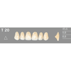T20 Artic 6 zuby frontlne horn (VITA A1-D4)